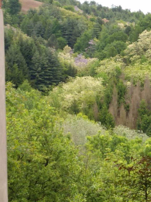 B&B Ca Dal Busc Sostegno Eksteriør bilde